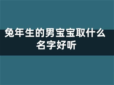 兔年生的男宝宝取什么名字好听