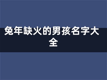 兔年缺火的男孩名字大全