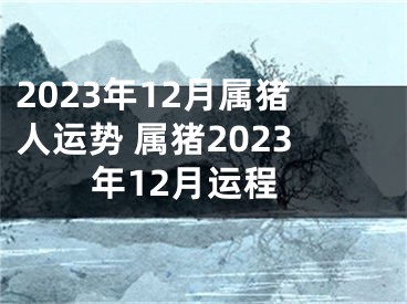 2023年12月属猪人运势 属猪2023年12月运程