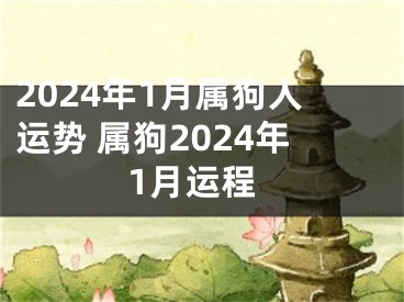 2024年1月属狗人运势 属狗2024年1月运程