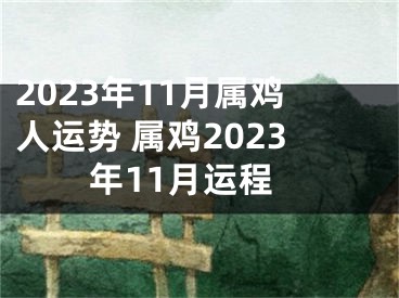 2023年11月属鸡人运势 属鸡2023年11月运程