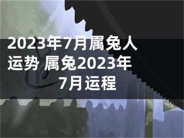 2023年7月属兔人运势 属兔2023年7月运程