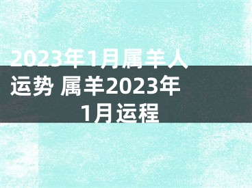 2023年1月属羊人运势 属羊2023年1月运程