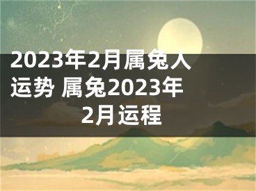 2023年2月属兔人运势 属兔2023年2月运程