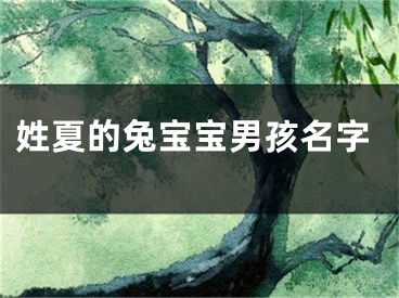 姓夏的兔宝宝男孩名字