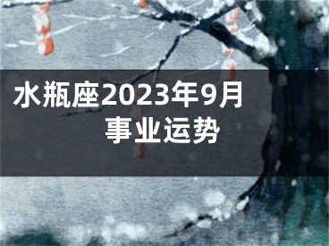 水瓶座2023年9月事业运势