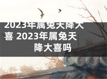 2023年属兔天降大喜 2023年属兔天降大喜吗