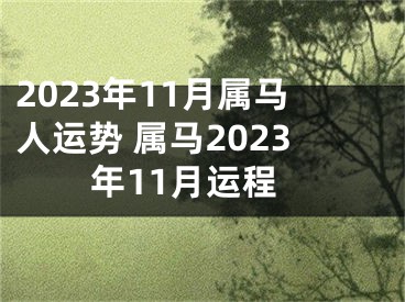 2023年11月属马人运势 属马2023年11月运程