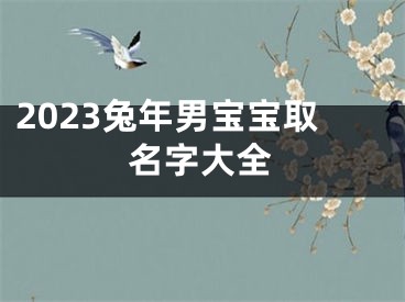 2023兔年男宝宝取名字大全