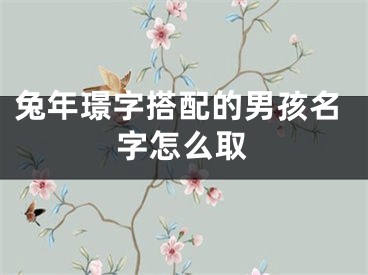 兔年璟字搭配的男孩名字怎么取