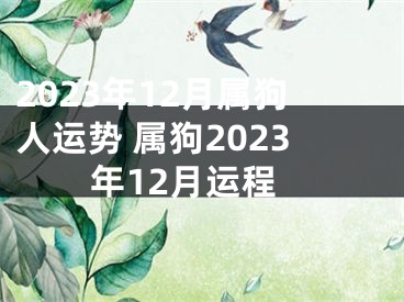 2023年12月属狗人运势 属狗2023年12月运程