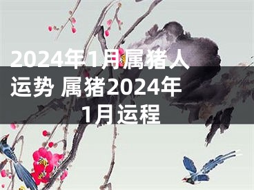 2024年1月属猪人运势 属猪2024年1月运程