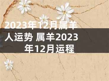 2023年12月属羊人运势 属羊2023年12月运程