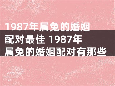 1987年属兔的婚姻配对最佳 1987年属兔的婚姻配对有那些