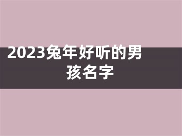 2023兔年好听的男孩名字