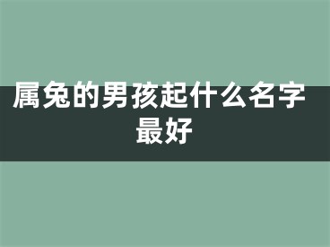 属兔的男孩起什么名字最好