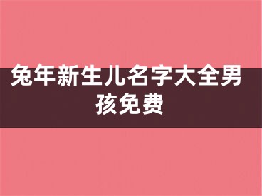 兔年新生儿名字大全男孩免费