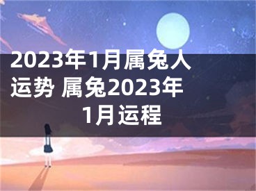 2023年1月属兔人运势 属兔2023年1月运程