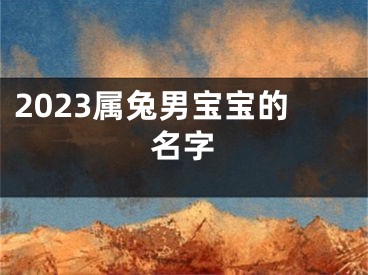 2023属兔男宝宝的名字