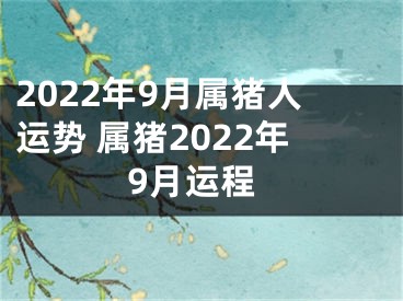 2022年9月属猪人运势 属猪2022年9月运程