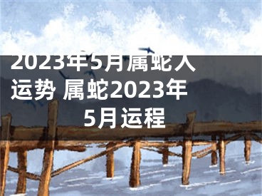 2023年5月属蛇人运势 属蛇2023年5月运程