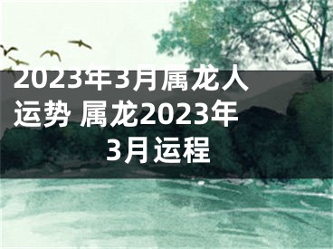 2023年3月属龙人运势 属龙2023年3月运程