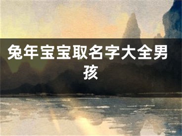 兔年宝宝取名字大全男孩