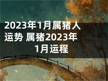 2023年1月属猪人运势 属猪2023年1月运程