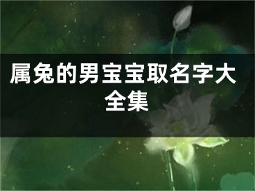 属兔的男宝宝取名字大全集