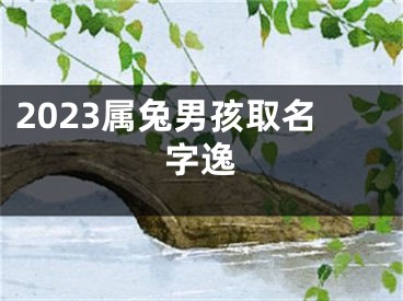 2023属兔男孩取名字逸