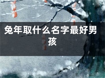 兔年取什么名字最好男孩