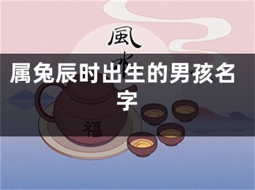 属兔辰时出生的男孩名字