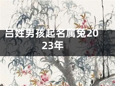 吕姓男孩起名属兔2023年