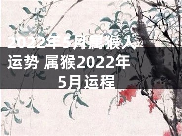 2022年5月属猴人运势 属猴2022年5月运程