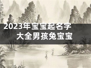 2023年宝宝起名字大全男孩兔宝宝