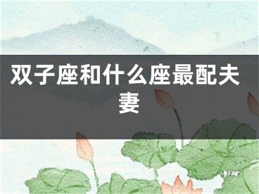 双子座和什么座最配夫妻