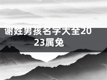 谢姓男孩名字大全2023属兔