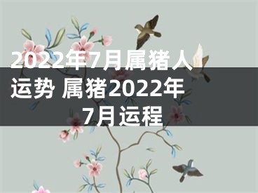 2022年7月属猪人运势 属猪2022年7月运程