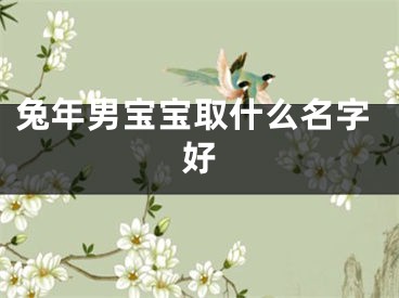 兔年男宝宝取什么名字好