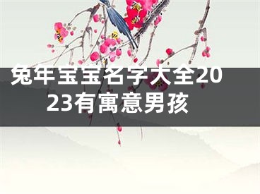 兔年宝宝名字大全2023有寓意男孩