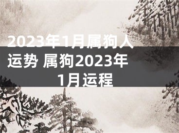 2023年1月属狗人运势 属狗2023年1月运程