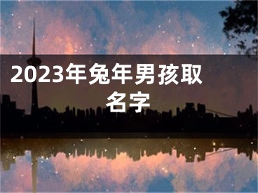 2023年兔年男孩取名字