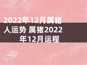 2022年12月属猪人运势 属猪2022年12月运程