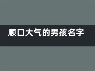 顺口大气的男孩名字