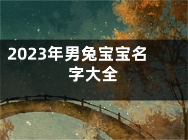 2023年男兔宝宝名字大全