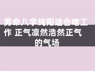 男命八字纯阳适合啥工作 正气凛然浩然正气的气场