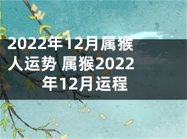 2022年12月属猴人运势 属猴2022年12月运程