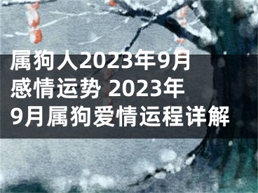 属狗人2023年9月感情运势 2023年9月属狗爱情运程详解