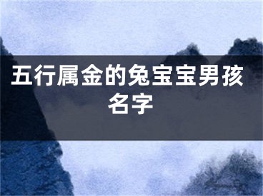 五行属金的兔宝宝男孩名字