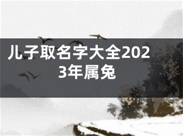 儿子取名字大全2023年属兔